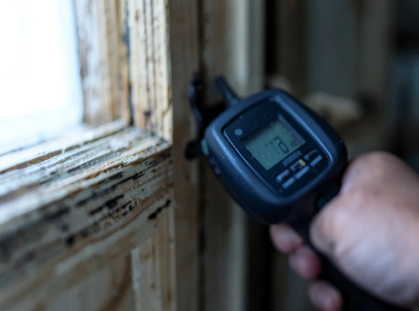 Moisture Inspection And Documentation in Westwood, CA